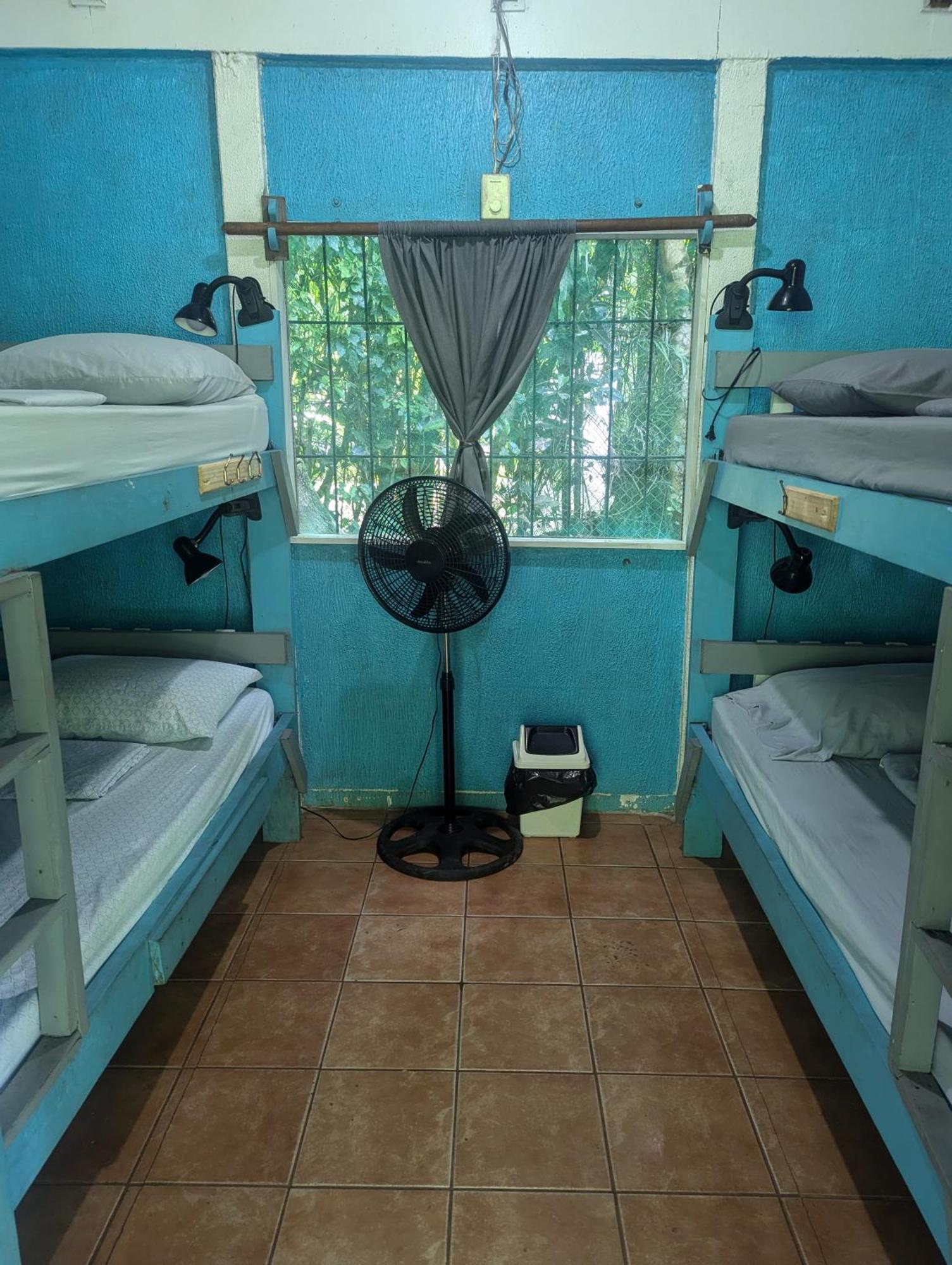 Tasty Dayz Hostel Puerto Viejo de Talamanca Экстерьер фото