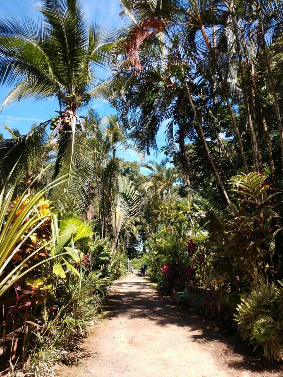 Tasty Dayz Hostel Puerto Viejo de Talamanca Экстерьер фото