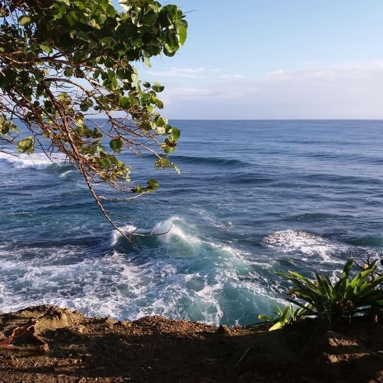 Tasty Dayz Hostel Puerto Viejo de Talamanca Экстерьер фото