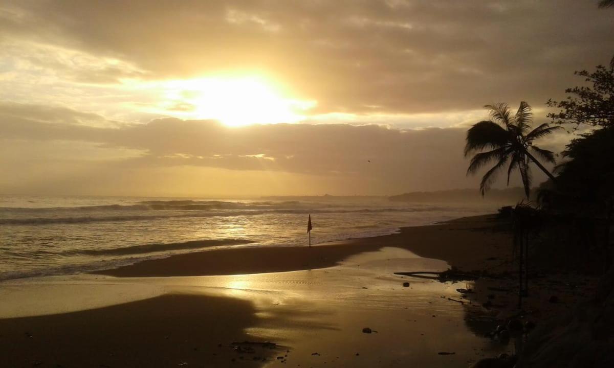 Tasty Dayz Hostel Puerto Viejo de Talamanca Экстерьер фото