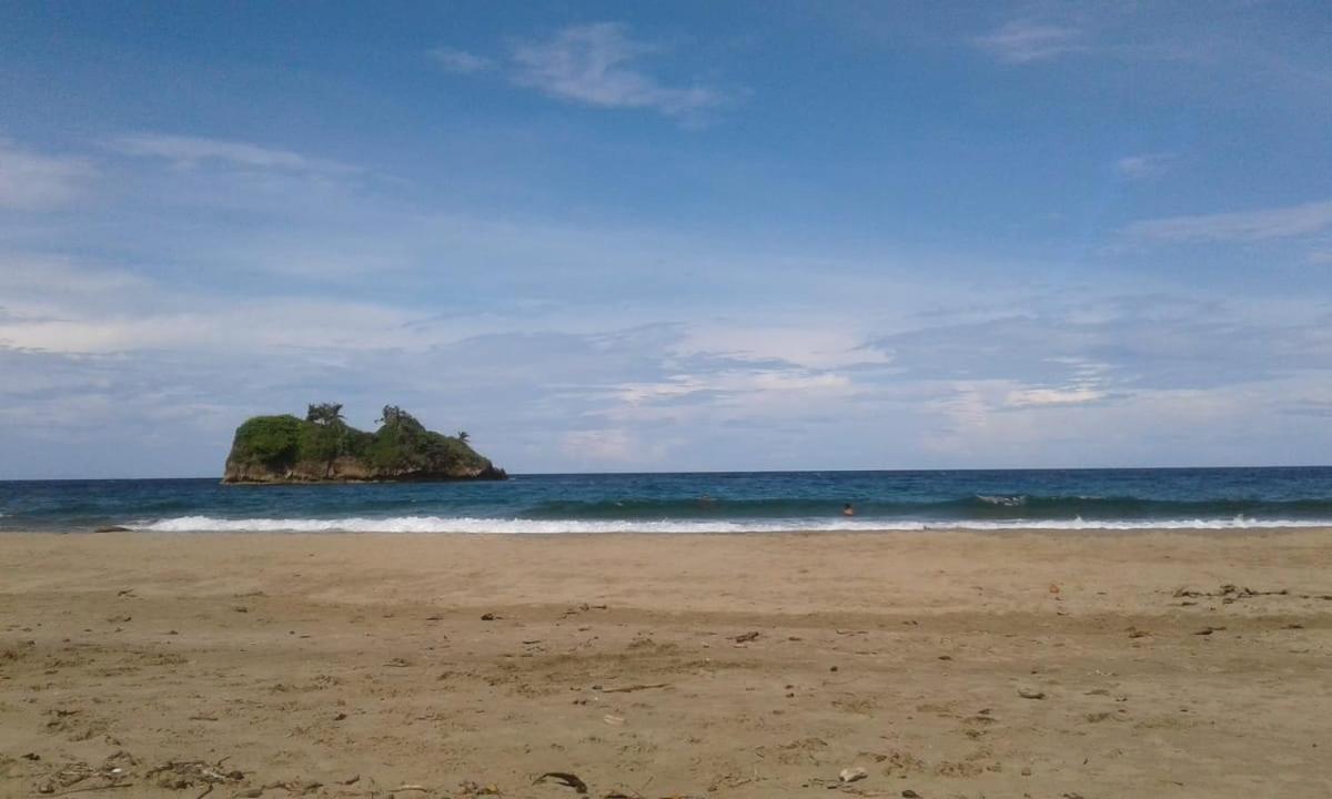 Tasty Dayz Hostel Puerto Viejo de Talamanca Экстерьер фото