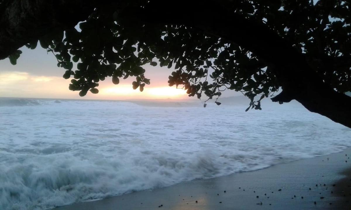 Tasty Dayz Hostel Puerto Viejo de Talamanca Экстерьер фото