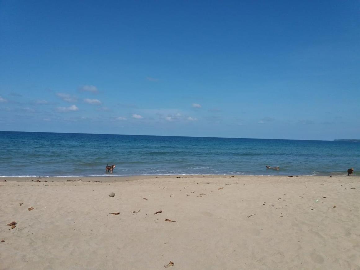 Tasty Dayz Hostel Puerto Viejo de Talamanca Экстерьер фото