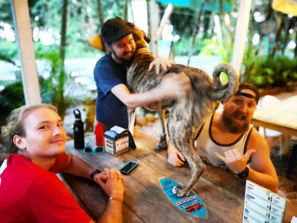 Tasty Dayz Hostel Puerto Viejo de Talamanca Экстерьер фото