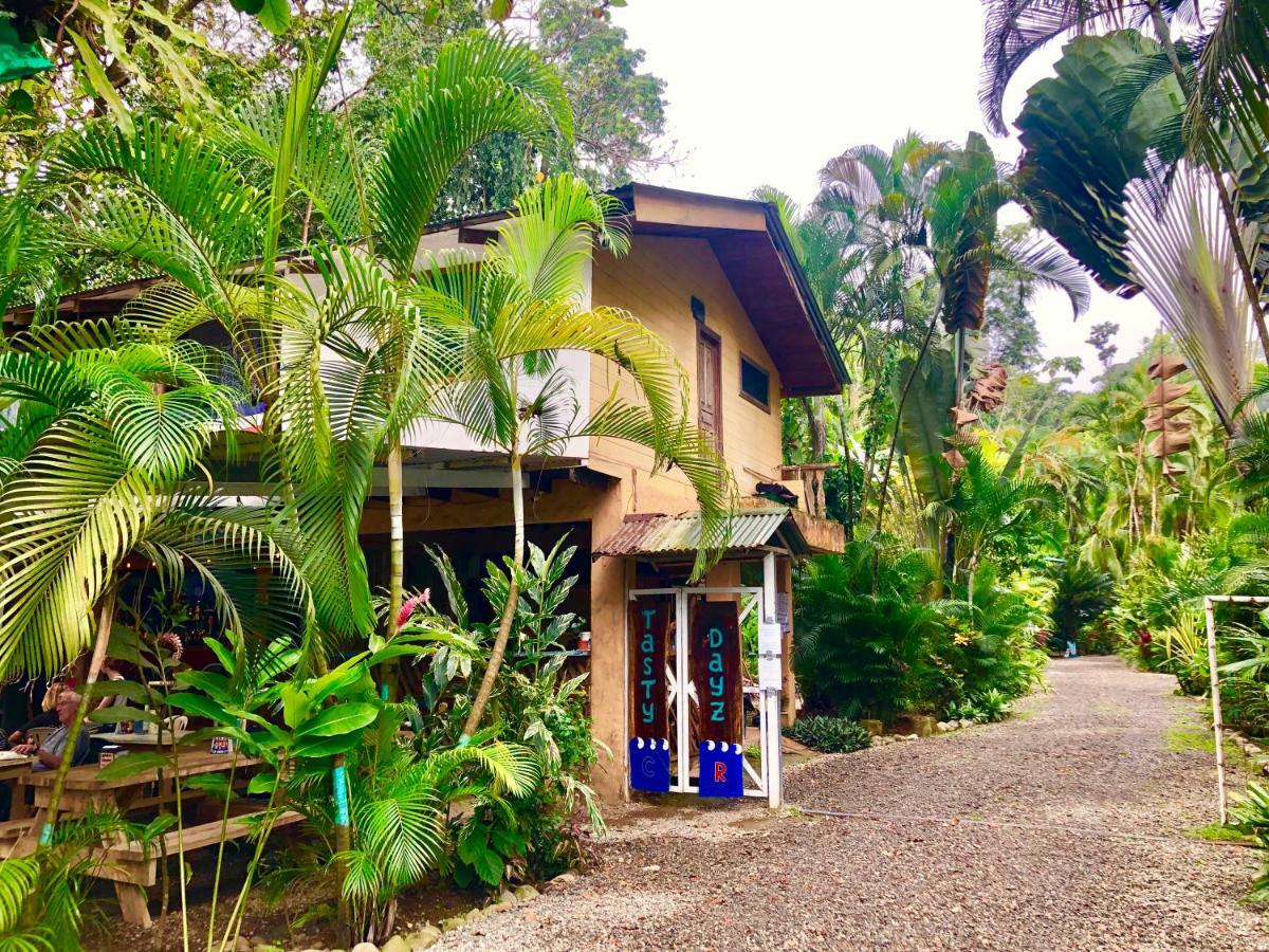 Tasty Dayz Hostel Puerto Viejo de Talamanca Экстерьер фото
