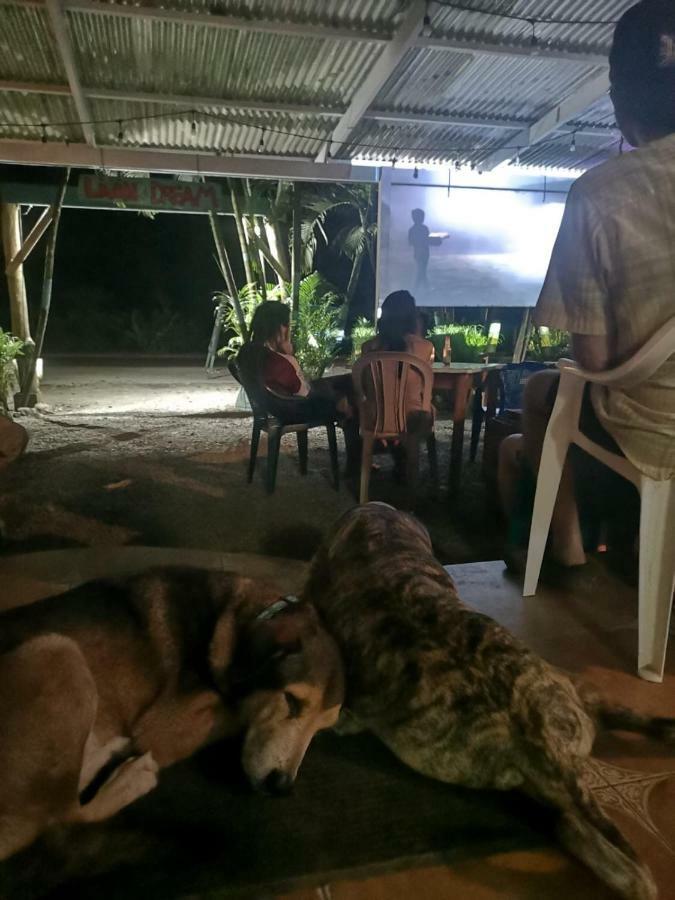 Tasty Dayz Hostel Puerto Viejo de Talamanca Экстерьер фото