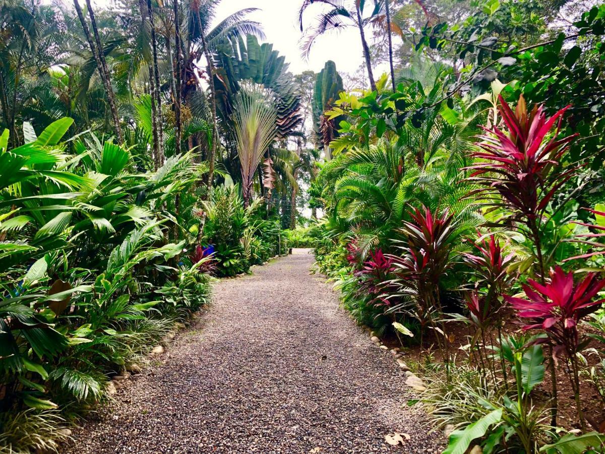 Tasty Dayz Hostel Puerto Viejo de Talamanca Экстерьер фото