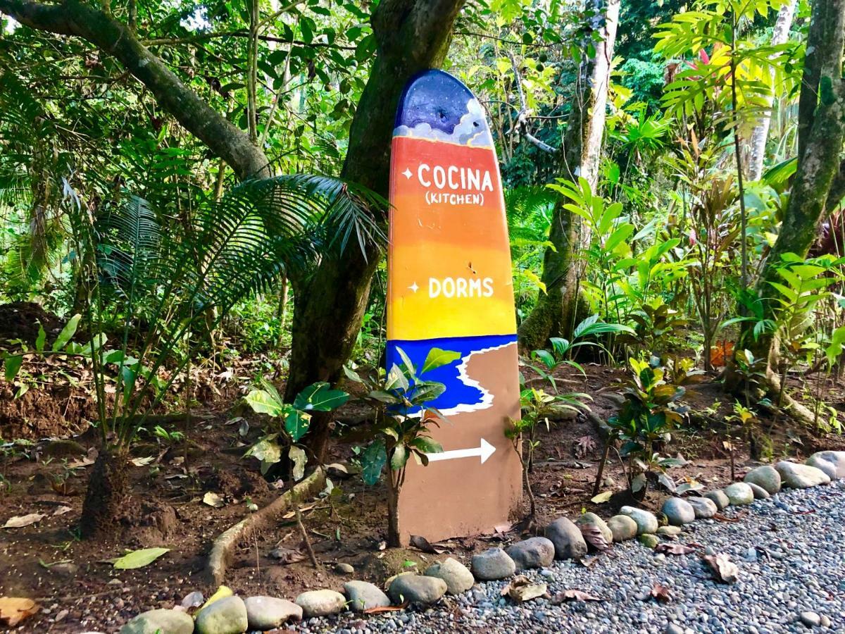 Tasty Dayz Hostel Puerto Viejo de Talamanca Экстерьер фото